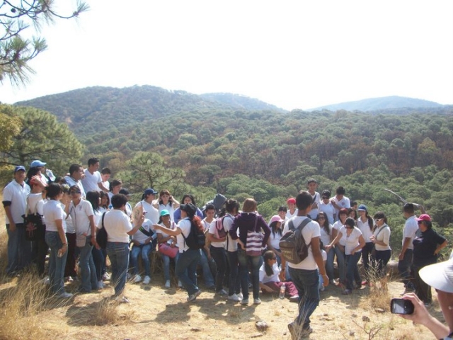 Grupos grandes y escuelas